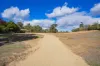 10 Karawatha Drive, Narrandera, NSW 2700-Image