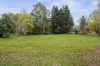 10 Lewis Avenue, Myrtleford, Vic 3737-Image