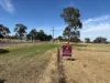 10 Main St, Minyip, Vic 3392-Image