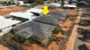 10 McKenna Way, South Hedland, WA 6722