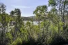 10 Pahi Rise, Murdunna, Tas 7178-Image