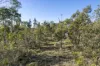 10 Pahi Rise, Murdunna, Tas 7178-Image