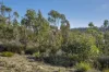 10 Pahi Rise, Murdunna, Tas 7178-Image