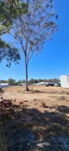 10 Prestige Close, Tannum Sands, Qld 4680