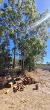 10 Prestige Close, Tannum Sands, Qld 4680-Image