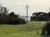 10 Rankins Road, Naracoopa, Tas 7256