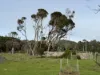 10 Rankins Road, Naracoopa, Tas 7256-Image