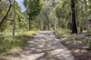 10 Summons Road, Flinders, Vic 3929-Image
