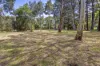 10 Summons Road, Flinders, Vic 3929-Image