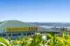 10 Townsend Crescent, Terranora, NSW 2486-Image