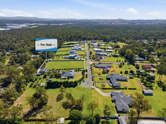 10 Westland Court, Forestdale, Qld 4118