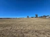 10 WILLIS ROAD, Meringandan West, Qld 4352-Image