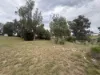 100-102 Seventh Avenue, Paradise Beach, Vic 3851-Image