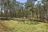 100 Fern Road, Little Hampton, Vic 3458-Image
