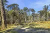 100 Fern Road, Little Hampton, Vic 3458-Image