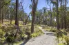 100 Fern Road, Little Hampton, Vic 3458-Image