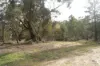 100 Hiscock Gully Road, Mount Helen, Vic 3350-Image