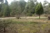 100 Hiscock Gully Road, Mount Helen, Vic 3350-Image