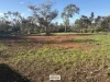 100 Malaya Road, Robinvale, Vic 3549-Image