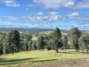 100 Station Road, Bruthen, Vic 3885-Image