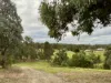 100 Station Road, Bruthen, Vic 3885-Image