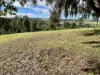 100 Station Road, Bruthen, Vic 3885-Image