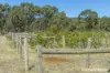 1000 Northern Highway, Ladys Pass, Vic 3523-Image