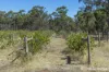 1000 Northern Highway, Ladys Pass, Vic 3523-Image
