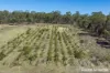 1000 Northern Highway, Ladys Pass, Vic 3523-Image