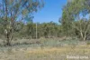 1000 Northern Highway, Ladys Pass, Vic 3523-Image