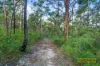 1006A Comleroy Road, Kurrajong, NSW 2758-Image