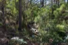 100C Nichols Road, Nubeena, Tas 7184-Image