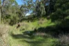 100C Nichols Road, Nubeena, Tas 7184-Image