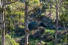 100C Nichols Road, Nubeena, Tas 7184-Image