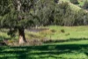 100C Nichols Road, Nubeena, Tas 7184-Image