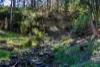 100C Nichols Road, Nubeena, Tas 7184-Image