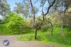 101 Briar Grove, Belair, SA 5052-Image