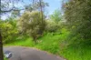 101 Briar Grove, Belair, SA 5052-Image