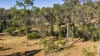 101 Nash Road, Araluen, Qld 4570