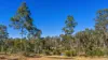 101 Nash Road, Araluen, Qld 4570-Image