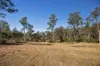 101 Nash Road, Araluen, Qld 4570-Image