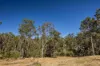 101 Nash Road, Araluen, Qld 4570-Image