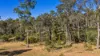 101 Nash Road, Araluen, Qld 4570-Image