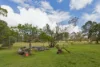 1015 Cootharaba Road, Cootharaba, Qld 4565-Image