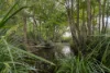 1015 Cootharaba Road, Cootharaba, Qld 4565-Image