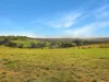 1023 Tambo Upper Road, Bruthen, Vic 3885