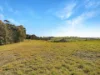 1023 Tambo Upper Road, Bruthen, Vic 3885-Image