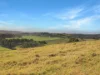 1023 Tambo Upper Road, Bruthen, Vic 3885-Image