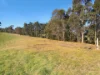 1023 Tambo Upper Road, Bruthen, Vic 3885-Image