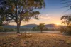 1035 Jerangle Road, Bredbo, NSW 2626